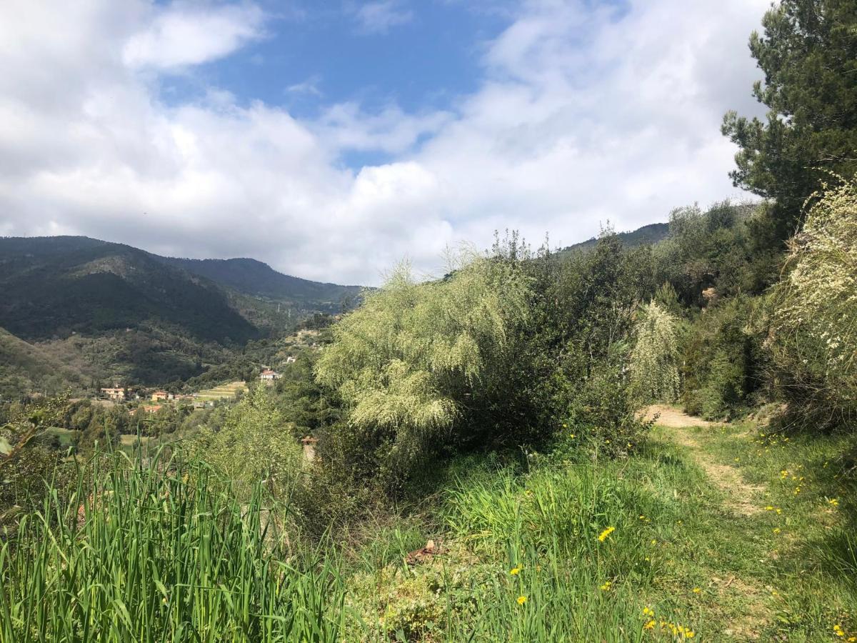 Villa D'Artisti San Remo Buitenkant foto