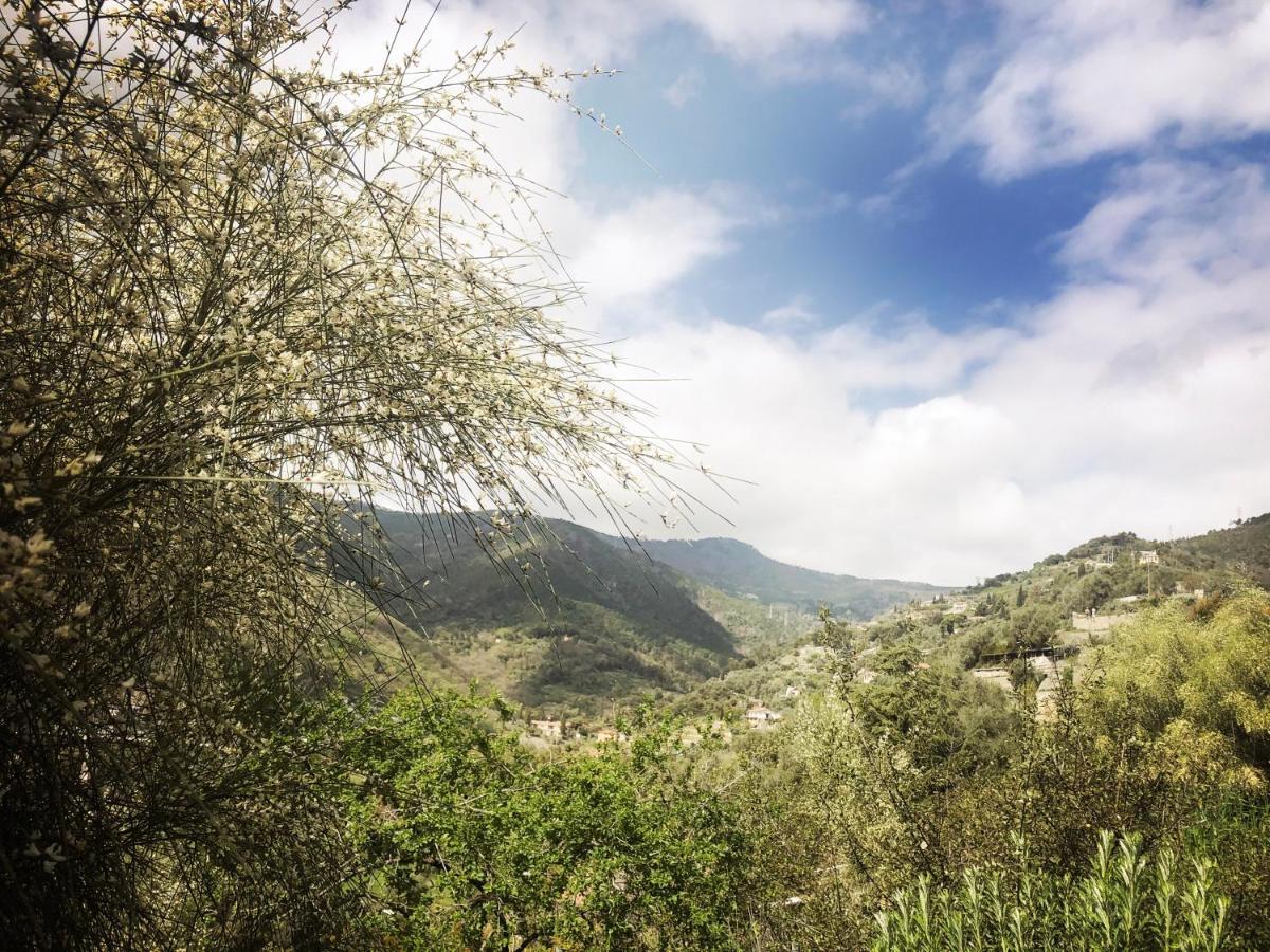 Villa D'Artisti San Remo Buitenkant foto