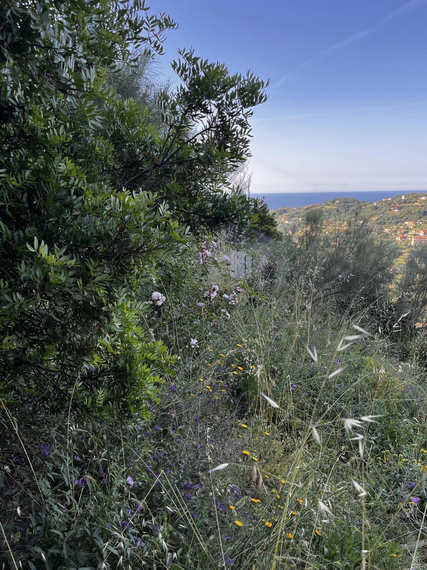 Villa D'Artisti San Remo Buitenkant foto