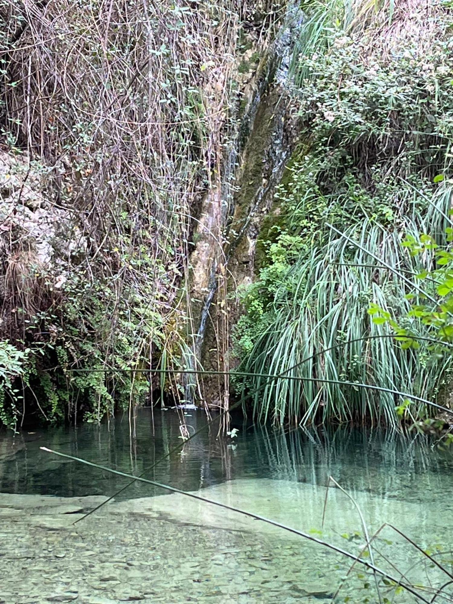 Villa D'Artisti San Remo Buitenkant foto